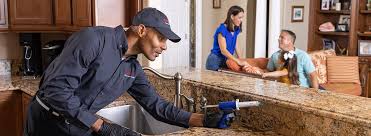 Best Real Estate Pest Inspections  in Salida, CA